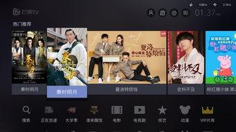 哪个视频软件资源最全,一网打尽热门影视、动漫、综艺