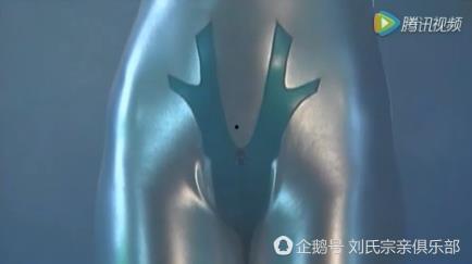 女奥特曼被虐视频大全,揭秘黑暗势力下的悲剧