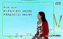 汉字的来历视频,汉字起源与发展历程