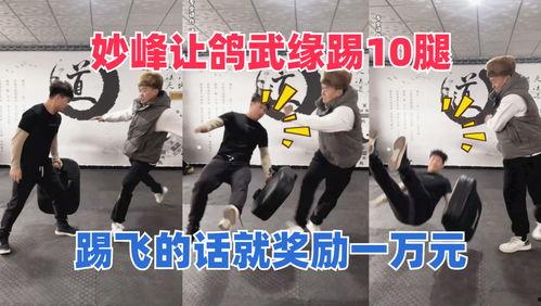 鸽武缘视频,探寻武术与和平的传奇故事