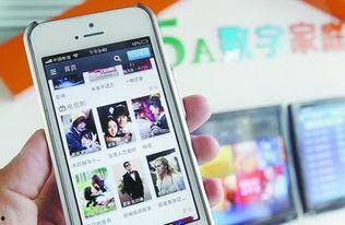 手机播放视频卡,揭秘解决之道