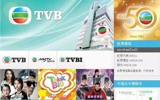 大陆视频网站,揭秘热门平台背后的精彩故事