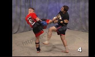 格斗术教学视频,跟随格斗术教学视频解锁高手之路