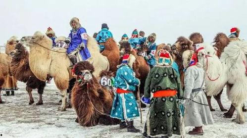 蒙古族视频,探寻蒙古族文化的独特魅力