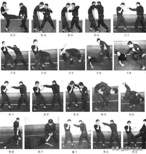 格斗术教学视频,跟随格斗术教学视频解锁高手之路