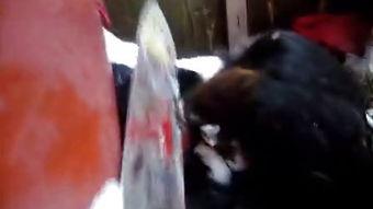 女人杀鸡视频,女子残忍杀鸡过程曝光